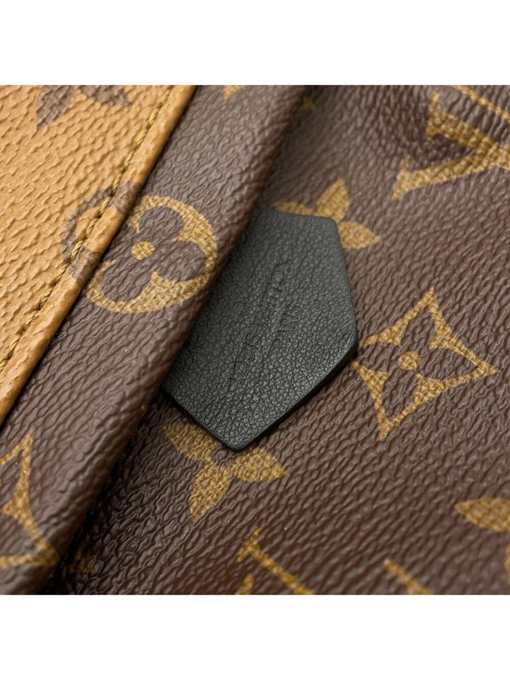 Louis Vuitton Backpack Monogram Reverse Palm Springs Mini Bag Black - Picture 9 of 10